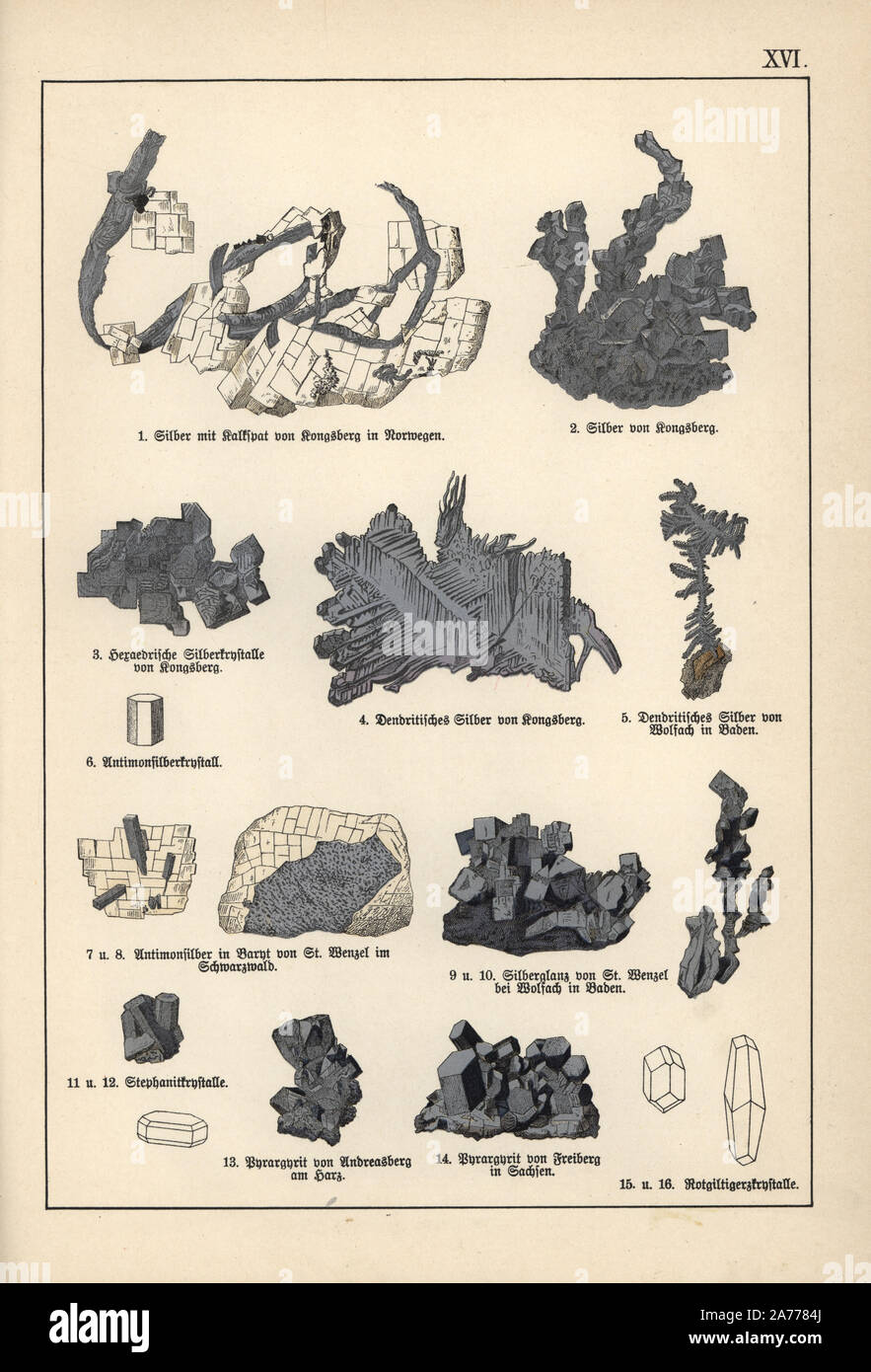Precious metals including silver with calcite, silver with kongsbergite, hexahedral silver crystal, dendritic silver, antimony silver, argentite and pyrargyrite. Chromolithograph from Dr. Aldolph Kenngott's 'Mineralogy' section in Gotthilf Heinrich von Schubert's 'Naturgeschichte,' Schreiber, Munich, 1886. Stock Photo