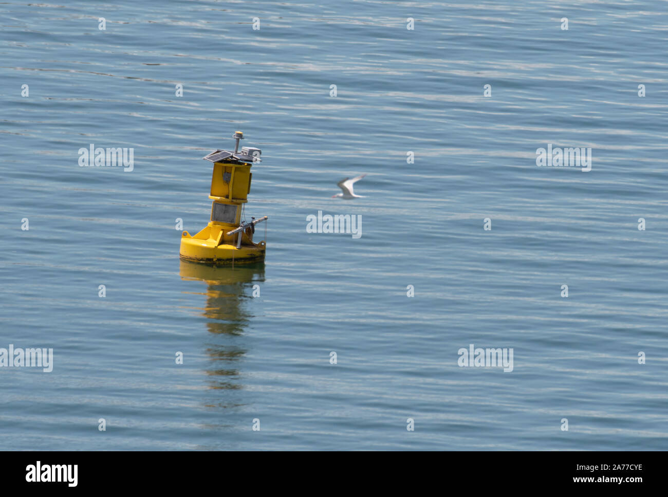 Floating buoy as a signal for passing ships Stock Photo