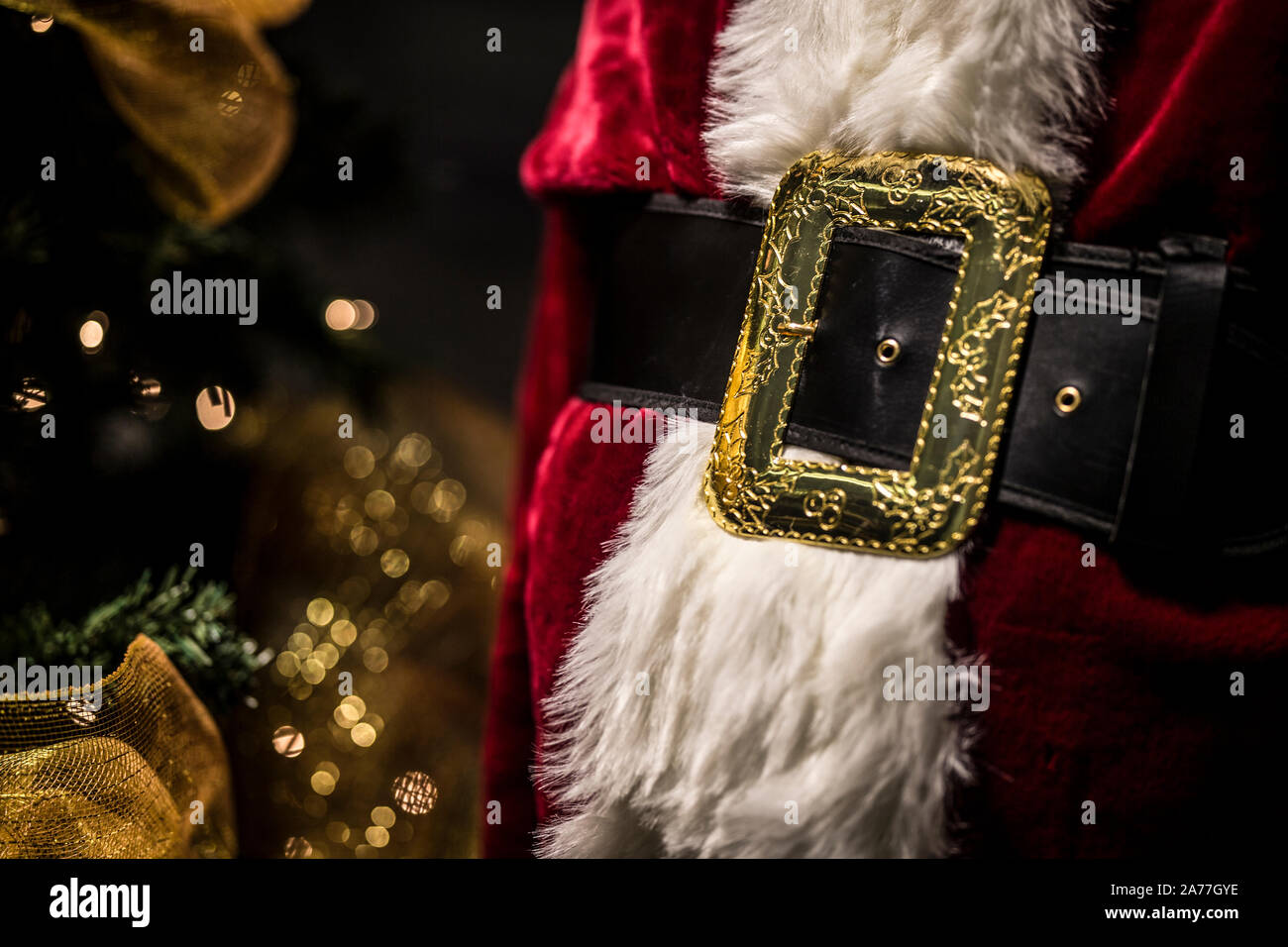 santa claus details