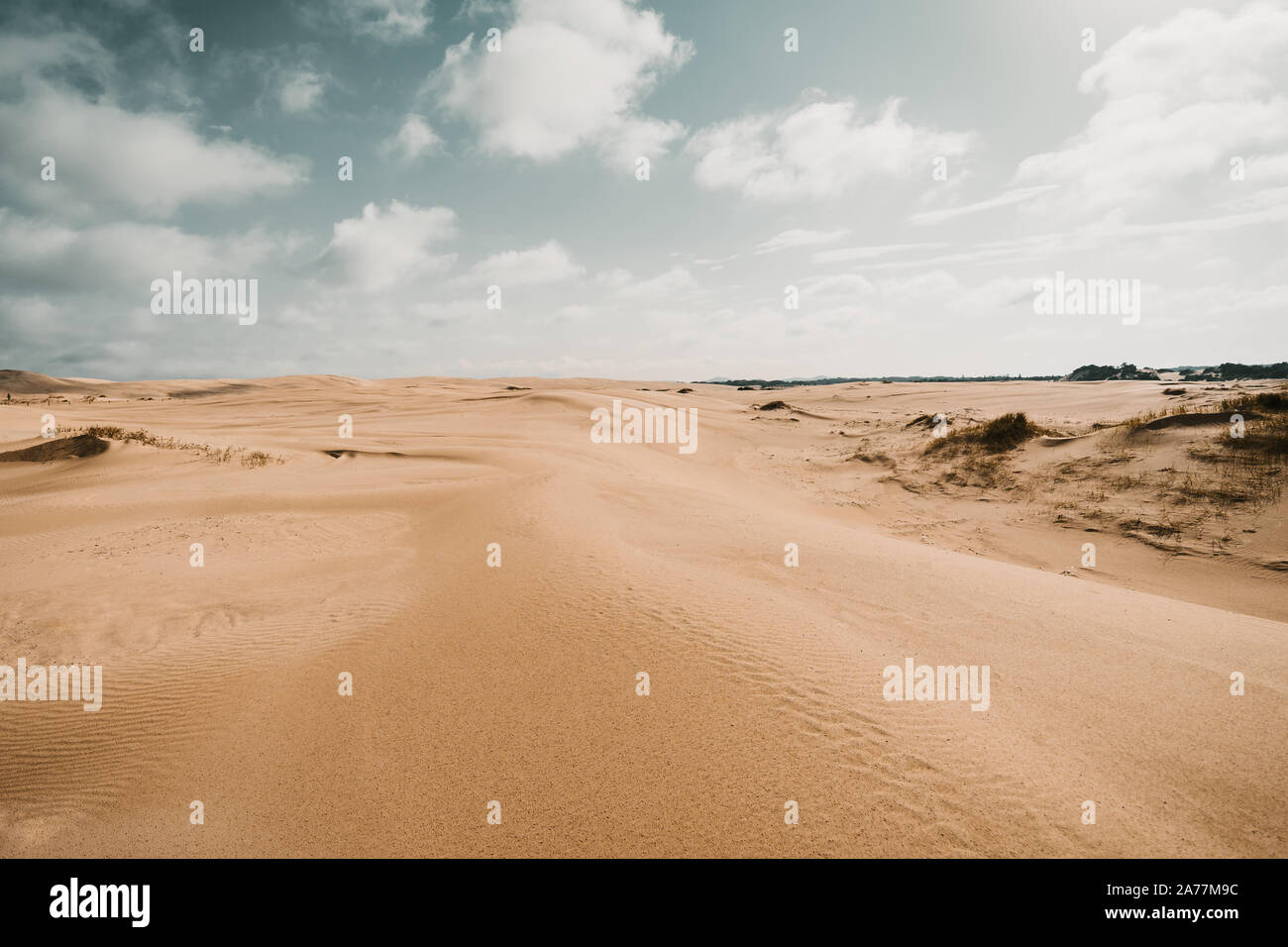 Blue Sky at the Sand Dune in Australia Stock Photo
