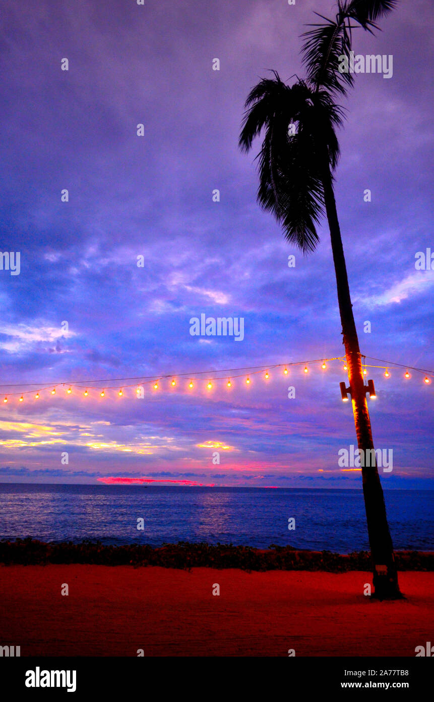 A lone palm tree during sunset with lighting attached to in at Pak Weep Beach Khao Lak Thailand Asia Stock Photo