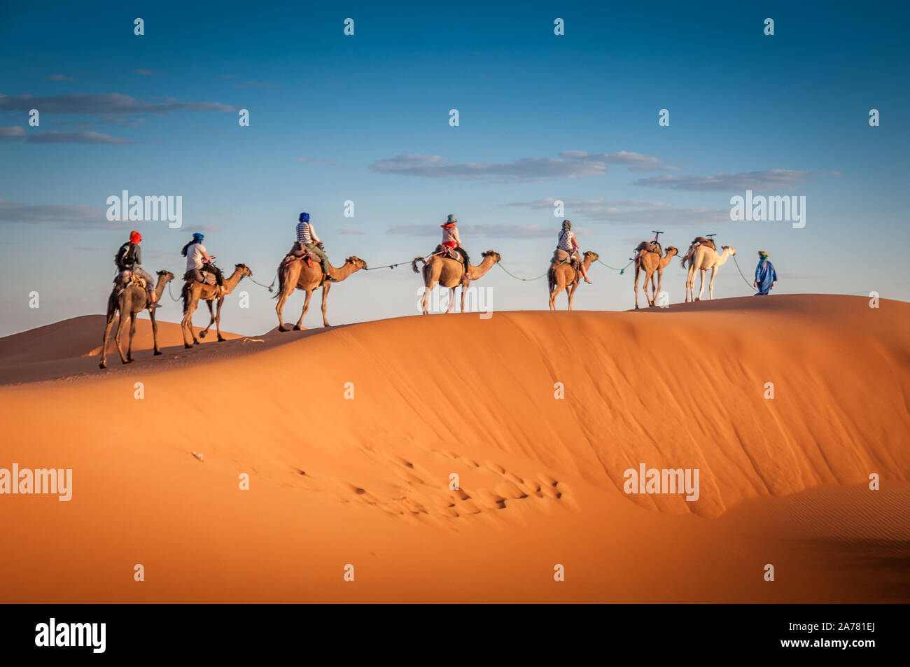 camels trekking guided tours in Merzouga Morocco Sahara desert camel ...