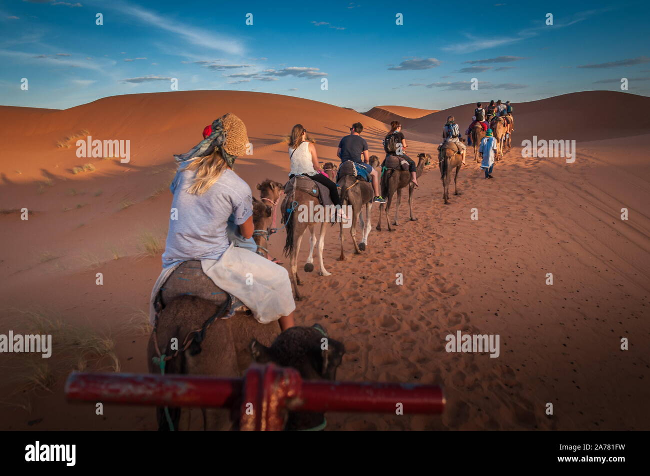 camels trekking guided tours in Merzouga Morocco Sahara desert camel