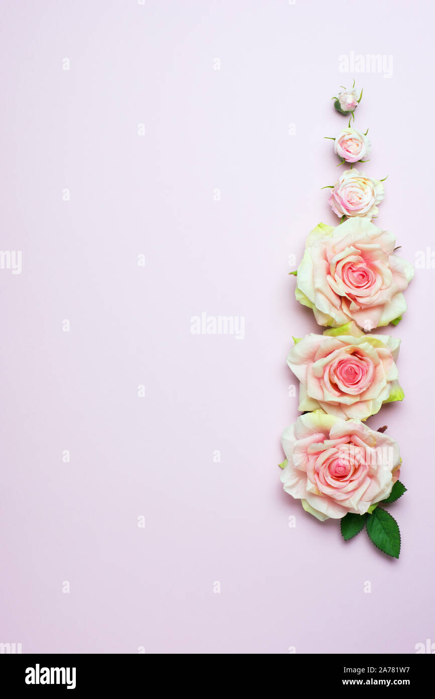 Wedding background with three pink rose flowers on light pink background  Stock Photo - Alamy