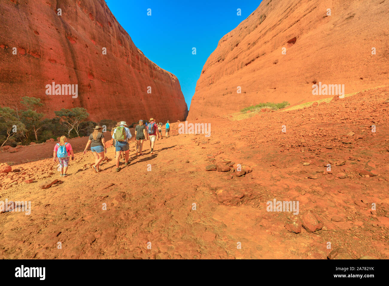 Uluru, Northern Territory, Australia - Aug 24, 2019: many people walking towards two tallest domes of Walpa Gorge entrance in Uluru-Kata Tjuta Stock Photo