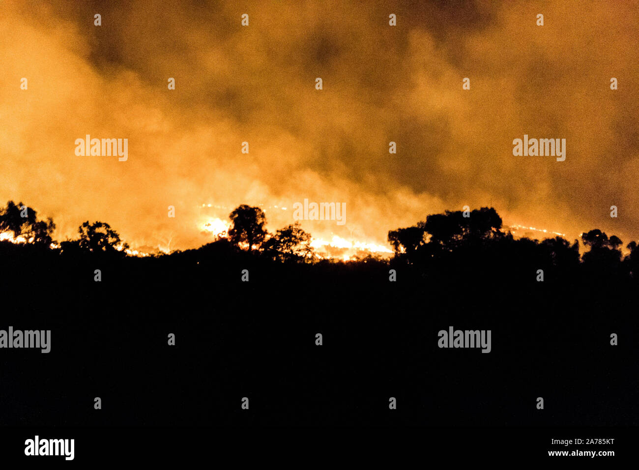 australian bushfire of a forrest at Night in the nothern territory ...