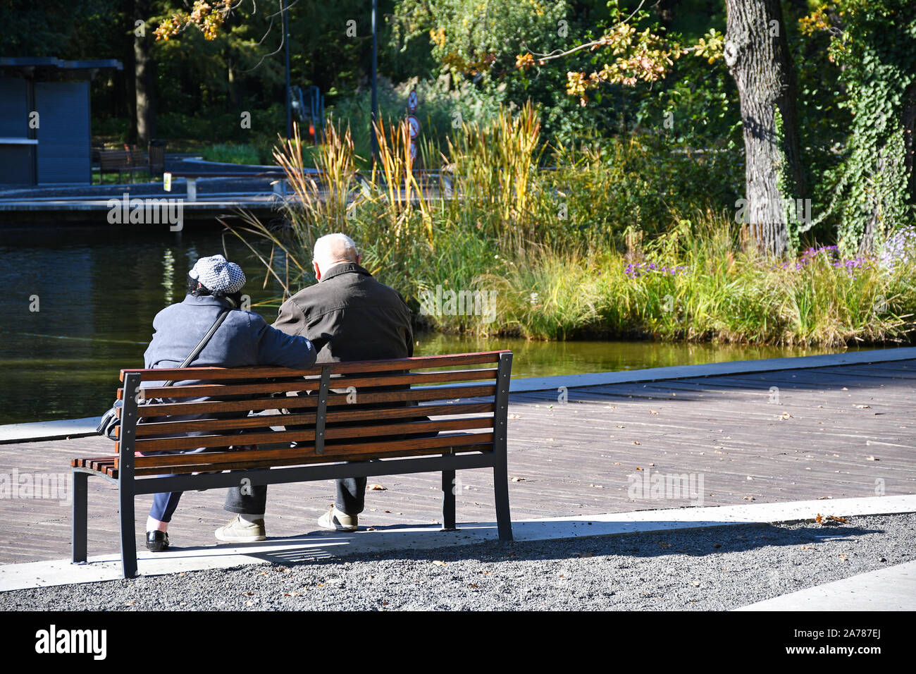 Old couple sitting on a park bench in the woods Stock Photo - Alamy