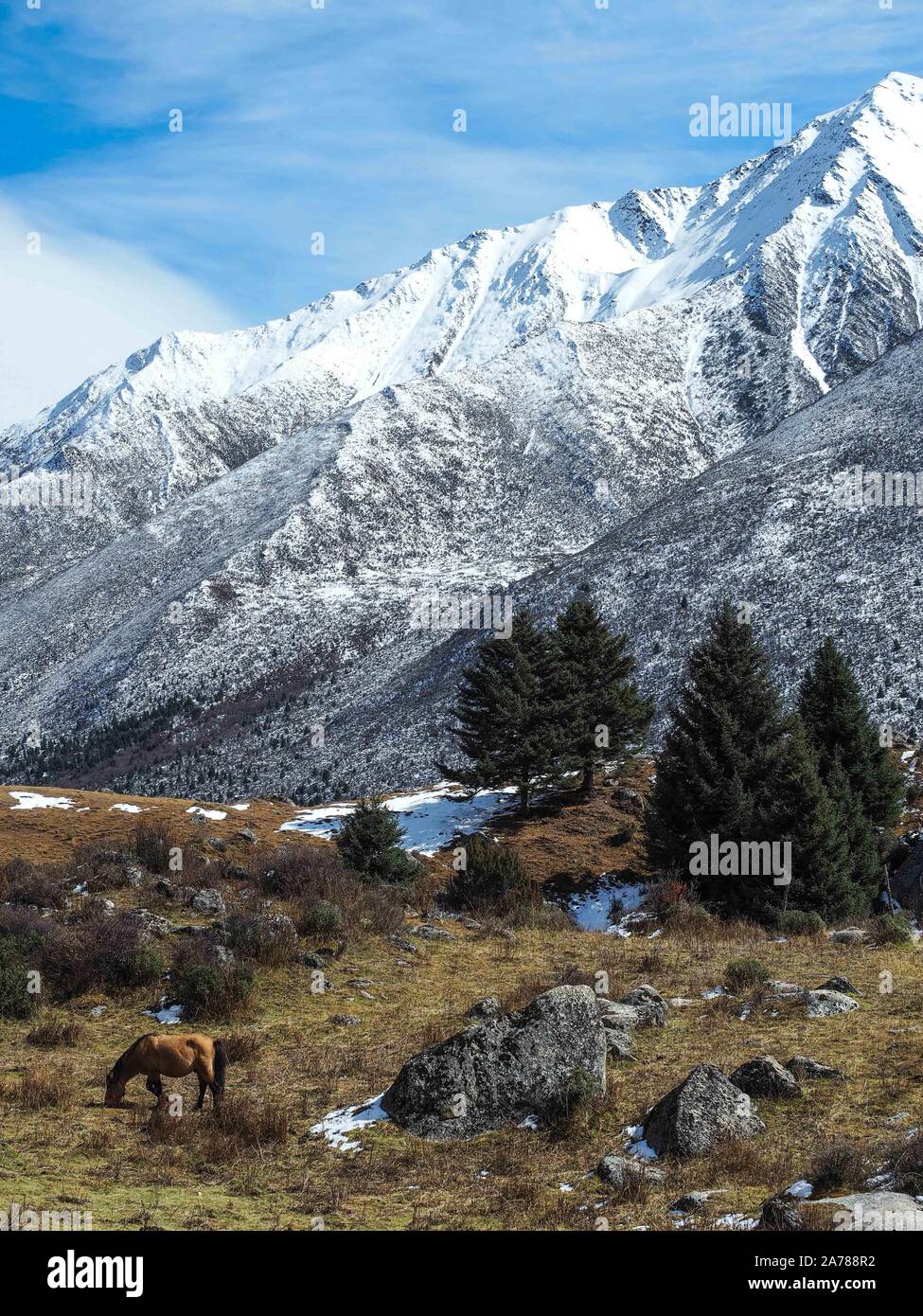 Dege. 30th Oct, 2019. Photo taken on Oct. 30, 2019 shows the scenery of Yulongla Co (Lake) scenic spot in Dege County of Tibetan Autonomous Prefecture of Garze, southwest China's Sichuan Province. Credit: Wang Di/Xinhua/Alamy Live News Stock Photo