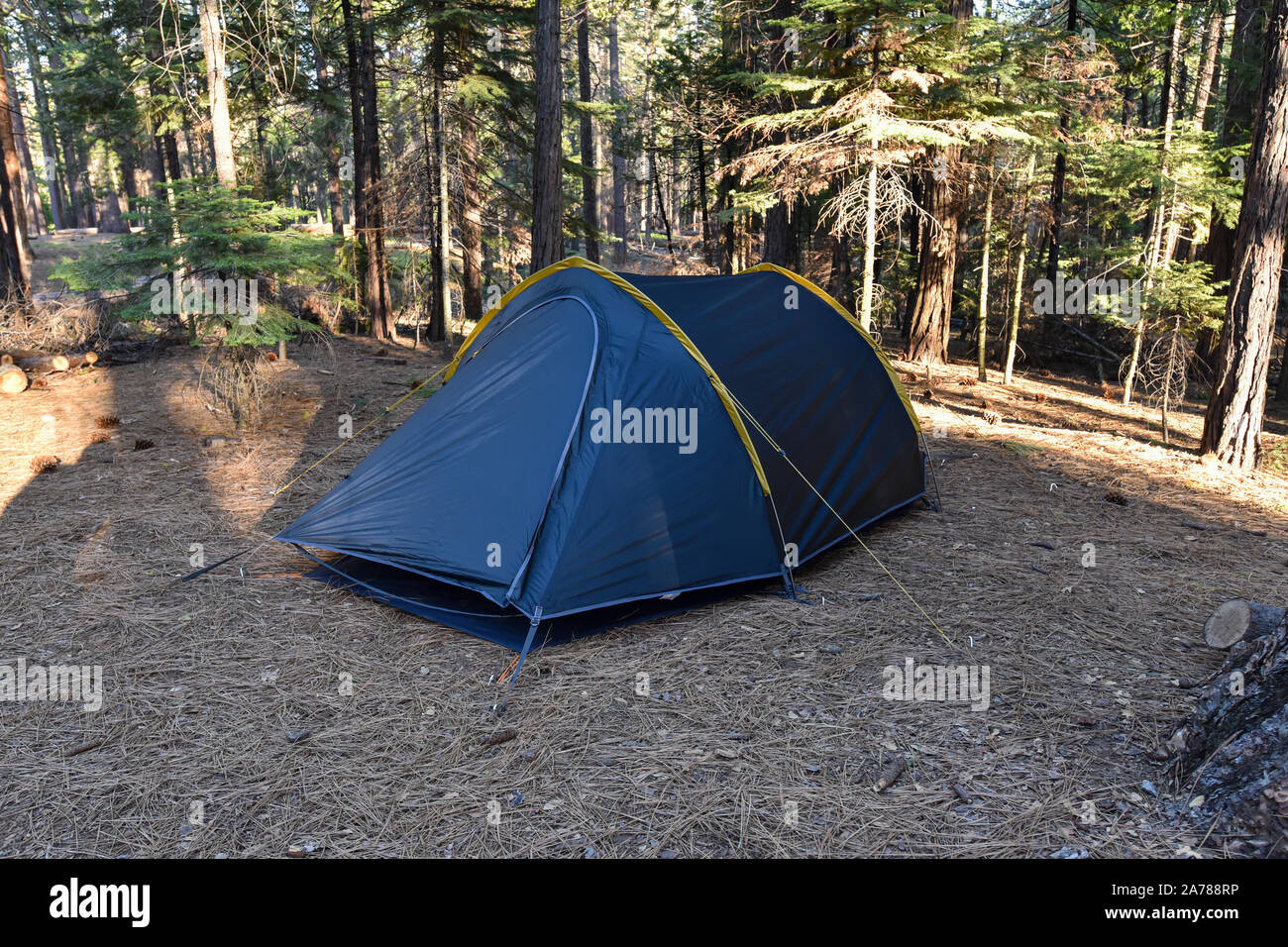 Tent set up in Hogdon Meadow Campground, Yosemite National Park, California, USA. Stock Photo