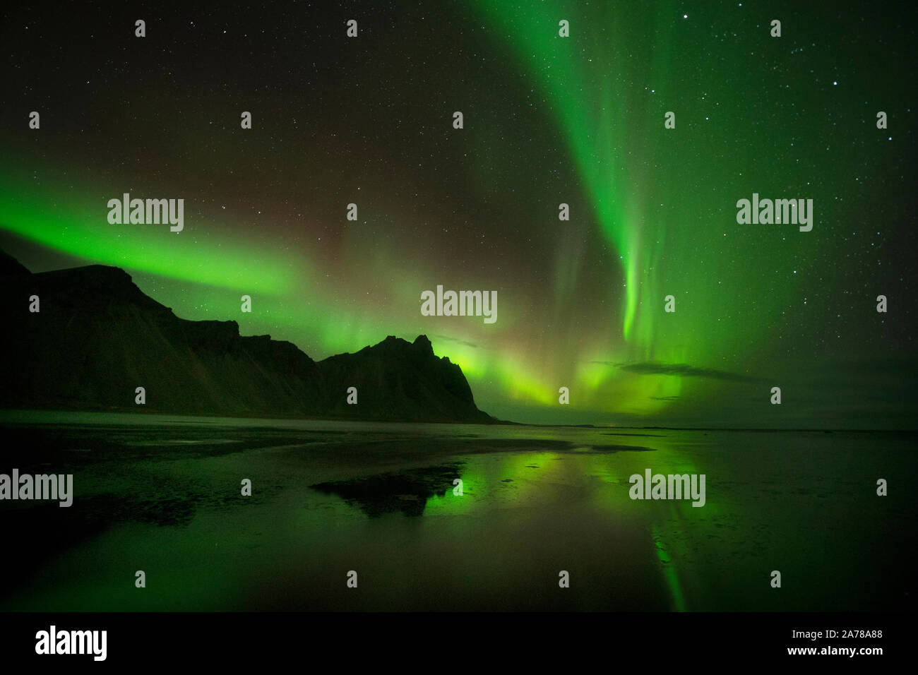 Aurora Borealis The Northern Lights Over The Vestrahorn Mountain In aurora-borealis-the-northern-lights-over-the-vestrahorn-mountain-in