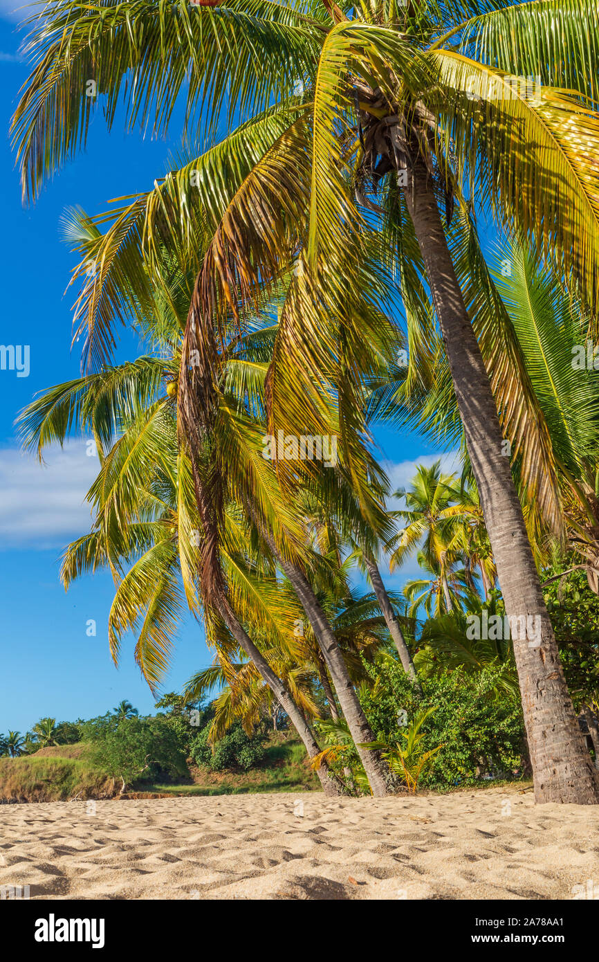 Ocean landscape tropical beach hi-res stock photography and images - Alamy