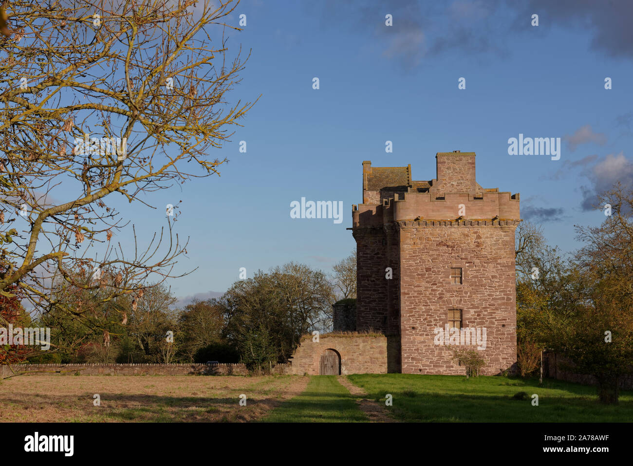 Brechin castle hires stock photography and images Alamy