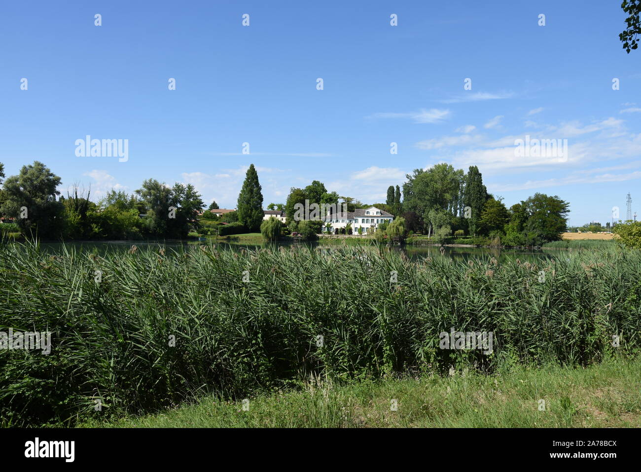 Walking among river Sile in Treviso, Veneto, Italy Stock Photo