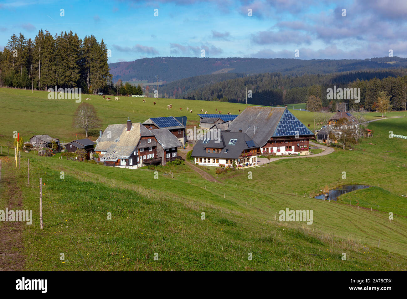 Oberfallengrundhof, black forest house, near Gütenbach, Black Forest, Baden-Württemberg, Germany Stock Photo