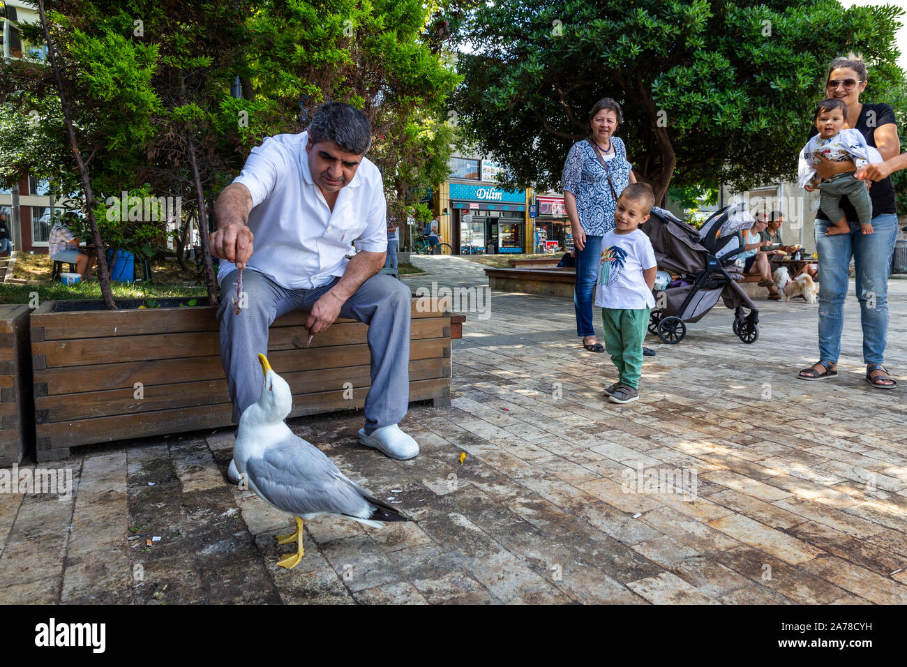 People feeding seagull at Kuzguncuk shore. Kuzguncuk is a neighborhood in the Uskudar district on the Asian side of the Bosphorus in Istanbul, Turkey. Stock Photo