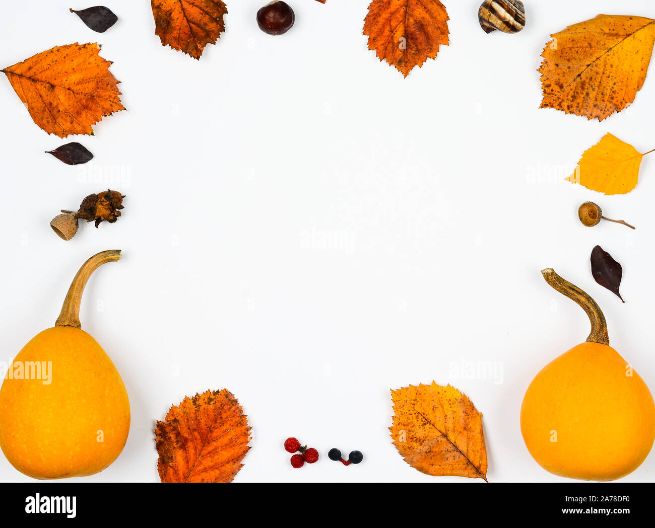 Autumn composition background . Square frame of pumpkins and leaves on ...