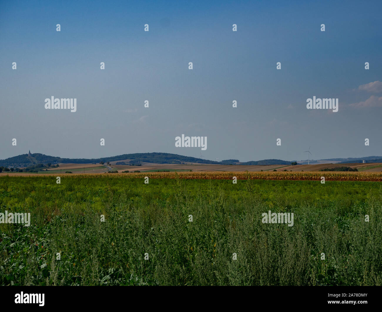 Agriculture fields in hilly country Stock Photo