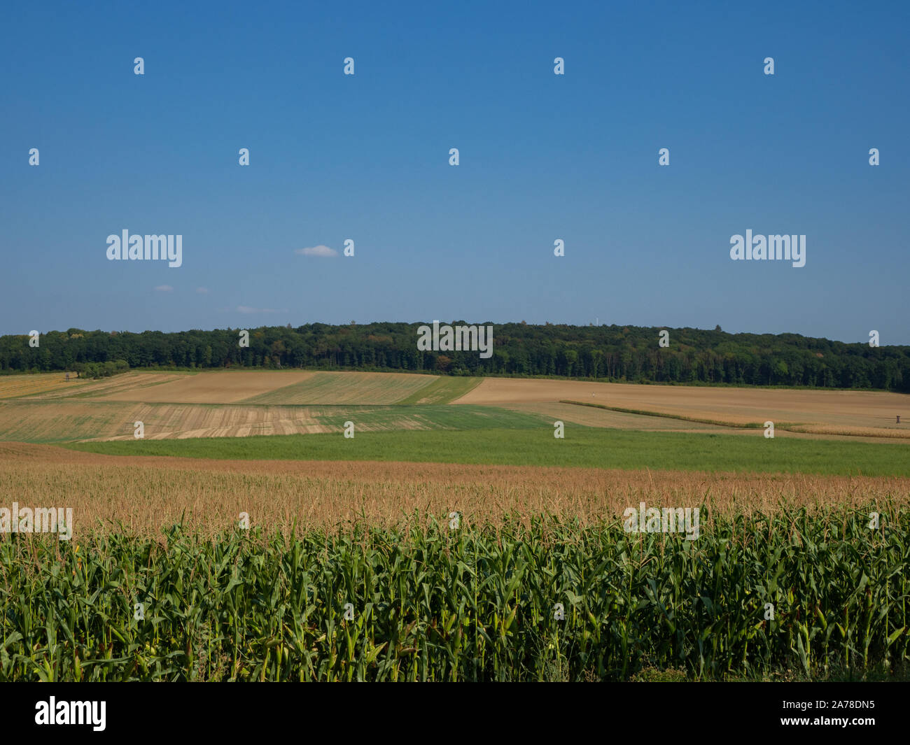 Agriculture fields and forest in hilly country Stock Photo