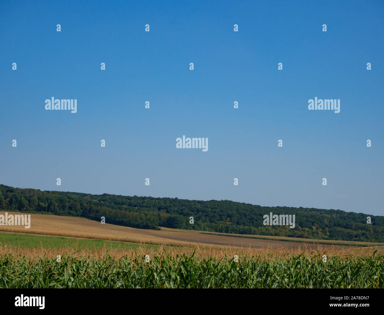 Agriculture fields and forest in hilly country Stock Photo