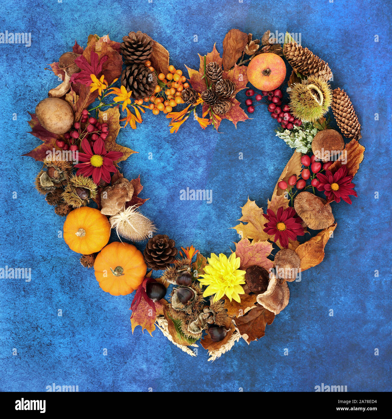 Heart shaped Autumn wreath with a variety of natural flora, fauna and food on mottled blue background. Harvest festival theme. Stock Photo