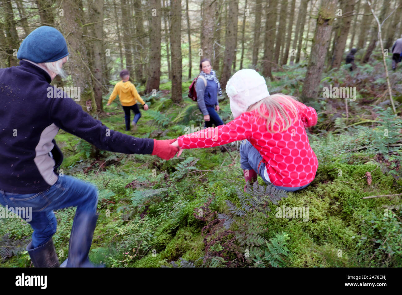 Family children walking in woods grandmother helping child jump down from moss covered tree stump in autumn in Carmarthenshire Wales UK  KATHY DEWITT Stock Photo