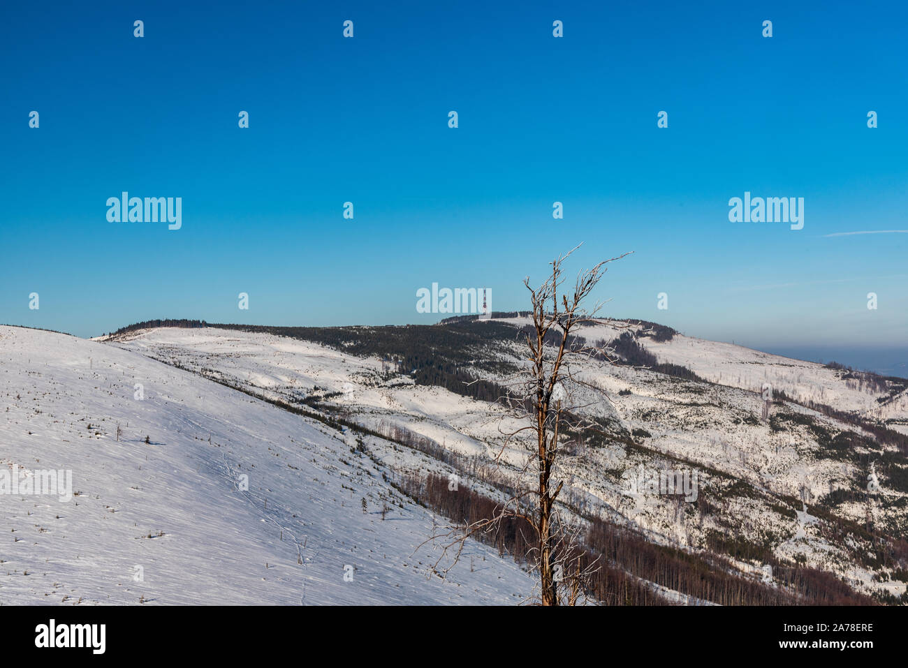 Skrzyczne hill with communication tower from rock formation on Malinowska Skala hill in Beskid Slaski mountains in Poland during beautiful winter day Stock Photo