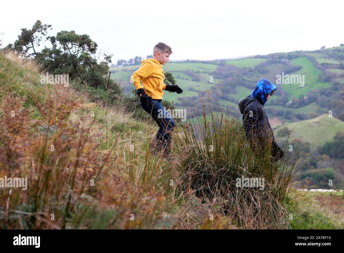 Boys children running down hill walking in the countryside at half term break in autumn in Carmarthenshire Wales UK  KATHY DEWITT Stock Photo
