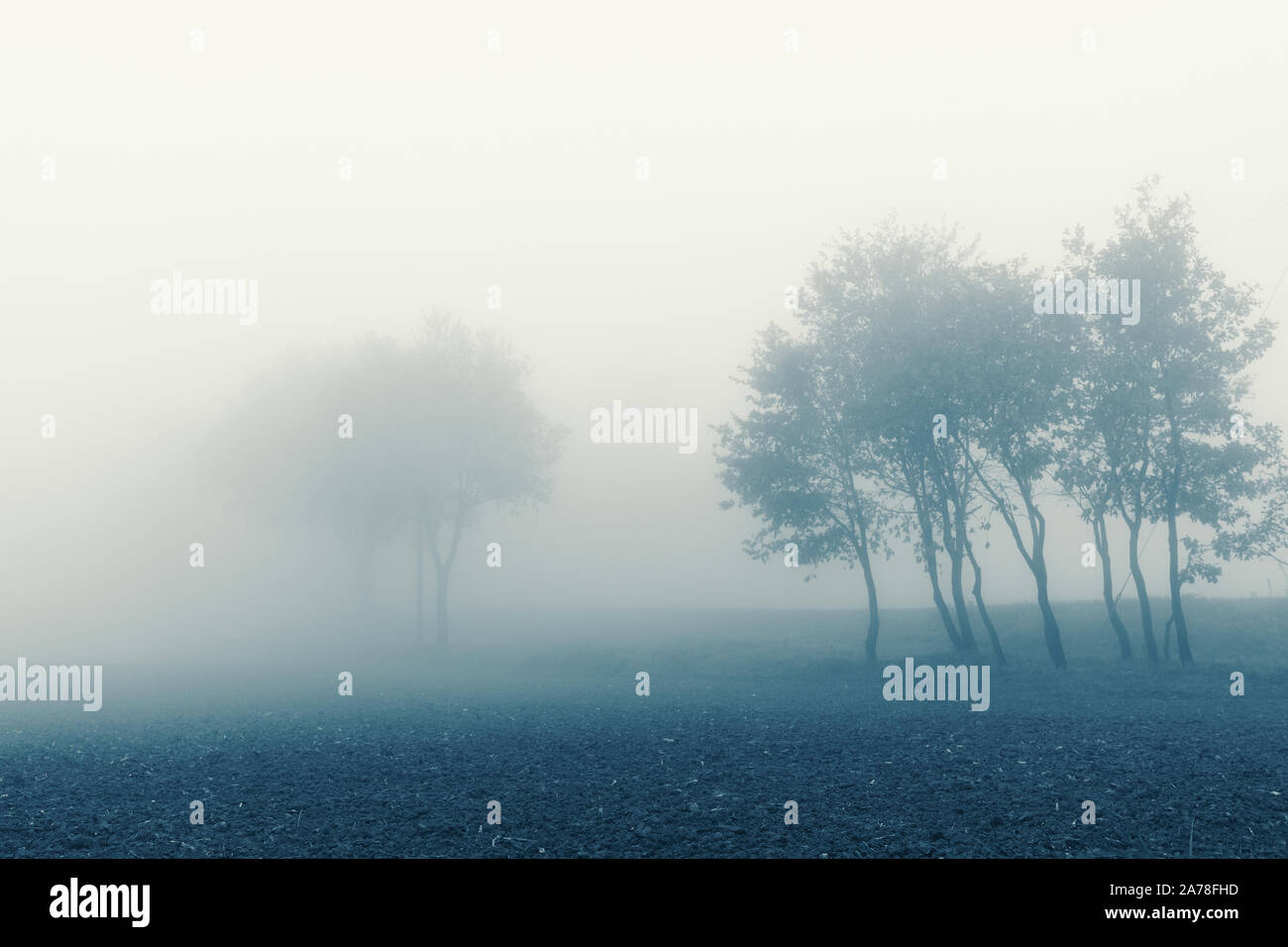 Autumn landscape, trees and fields in the fog Stock Photo - Alamy