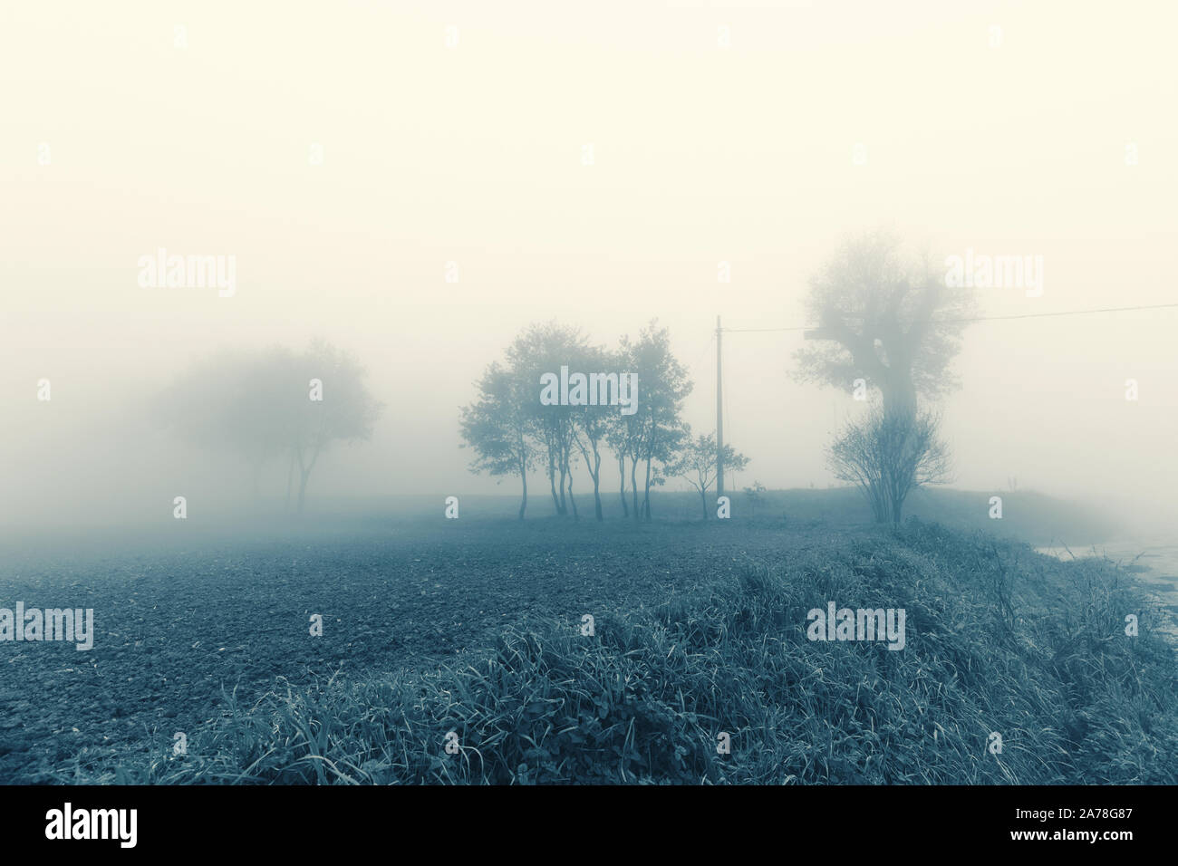 Autumn landscape, trees and fields in the fog Stock Photo - Alamy