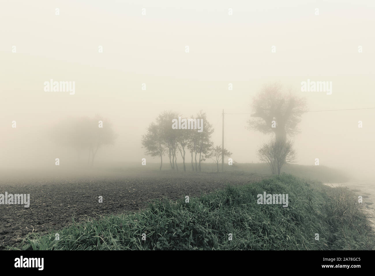 Fields in the fog hi-res stock photography and images - Alamy