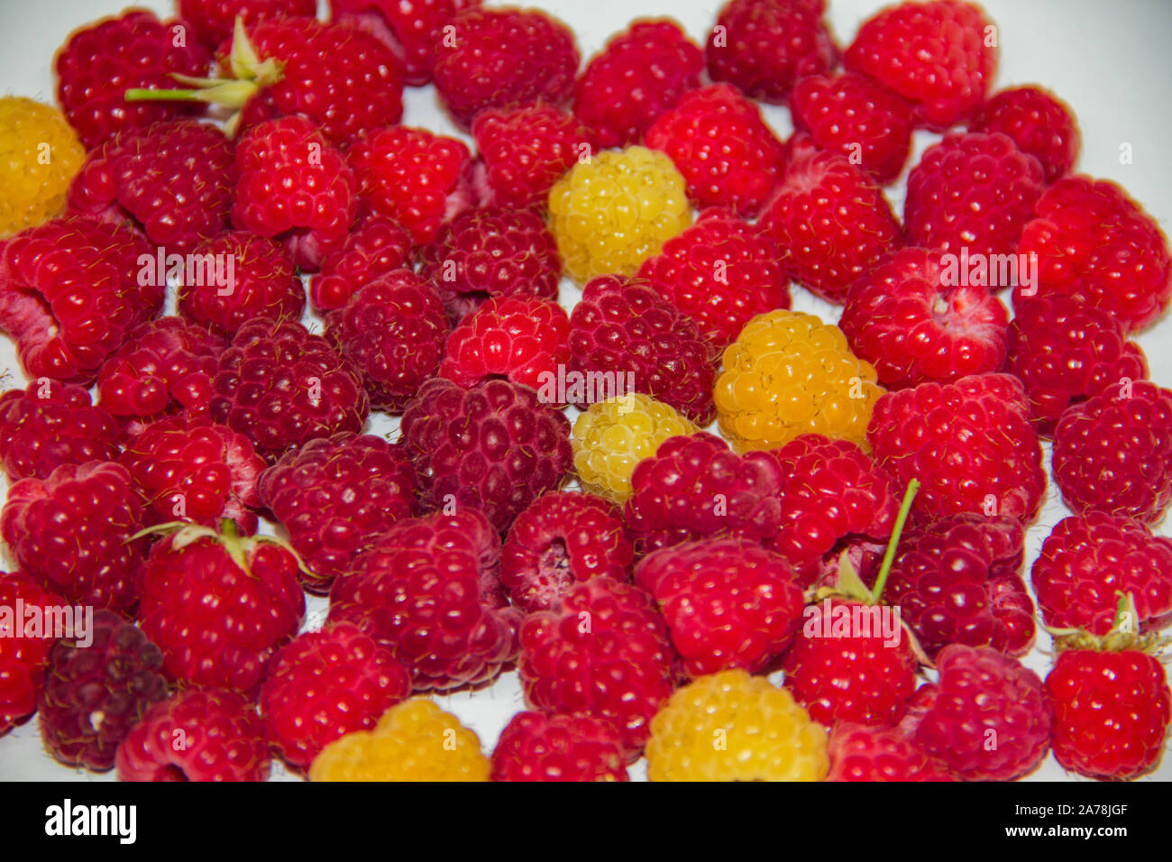 Red Andyellow Raspberry yellow and red raspberries on a white background. It looks like a ...