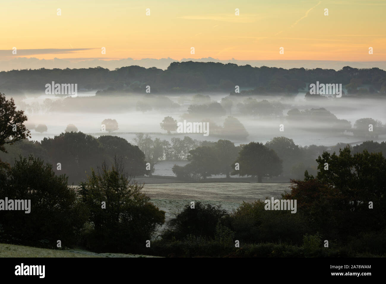 Misty High Weald landscape at sunrise, Burwash, East Sussex, England, United Kingdom, Europe Stock Photo