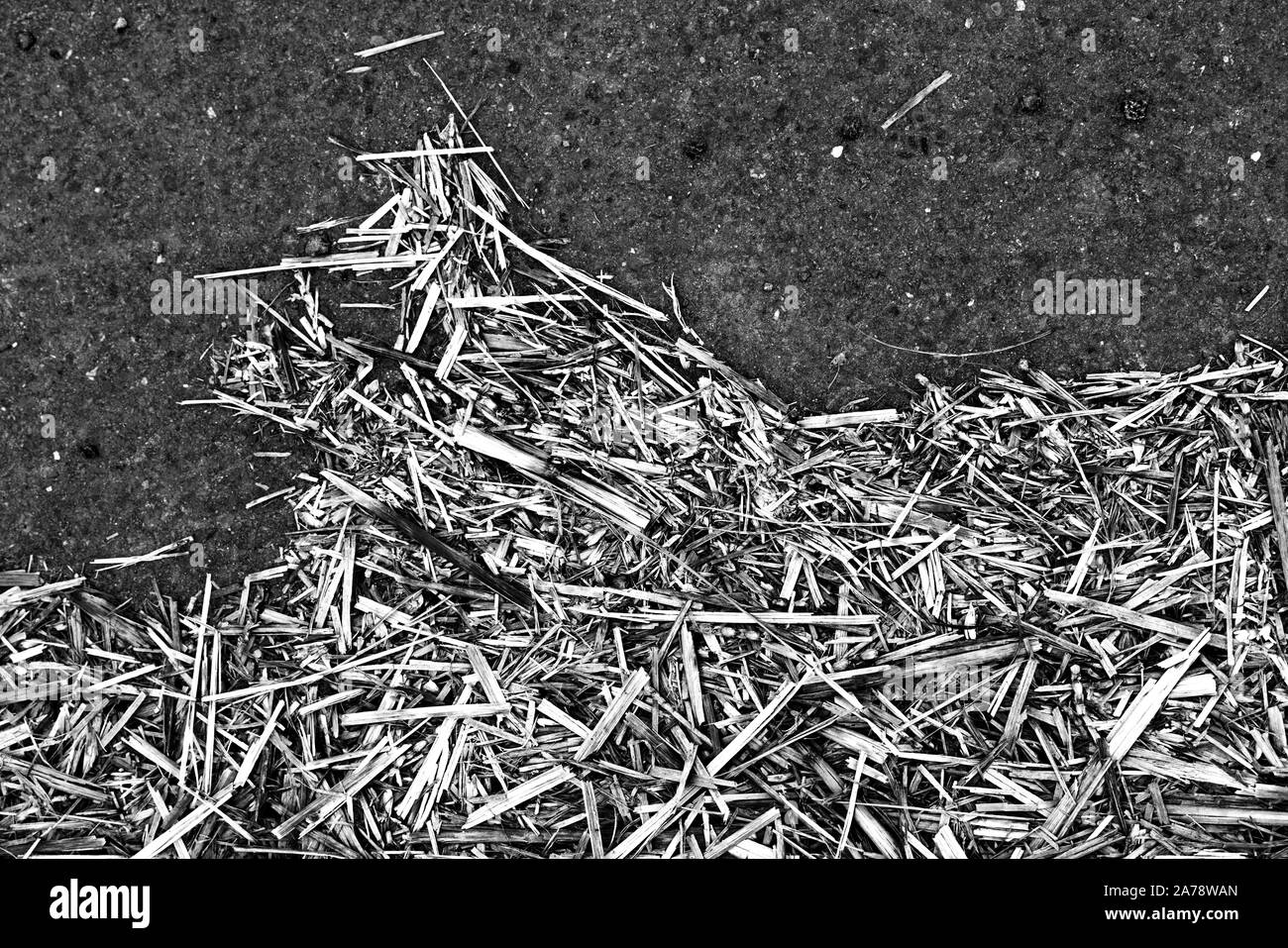straw, old asphalt pavement Stock Photo