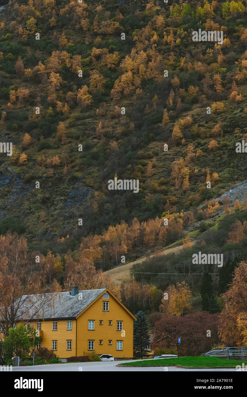 Oslo. 21st Oct, 2019. Photo taken on Oct. 21, 2019 shows the autumn scenery  in the village of Flam, which is located in the center of Sogn Fjord in  Norway. Credit: Zhang