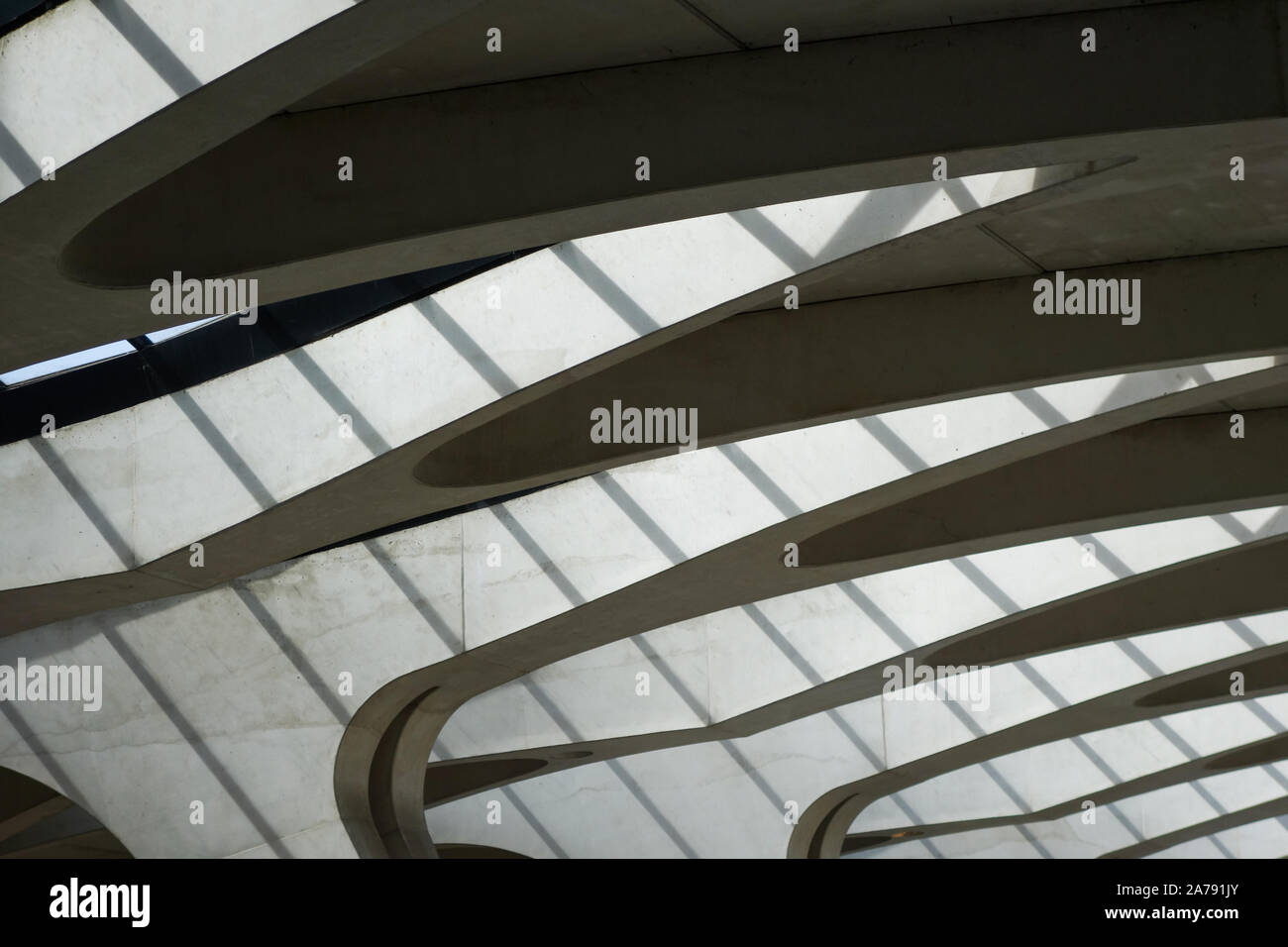 Calatrava designed station in Lyon France Stock Photo