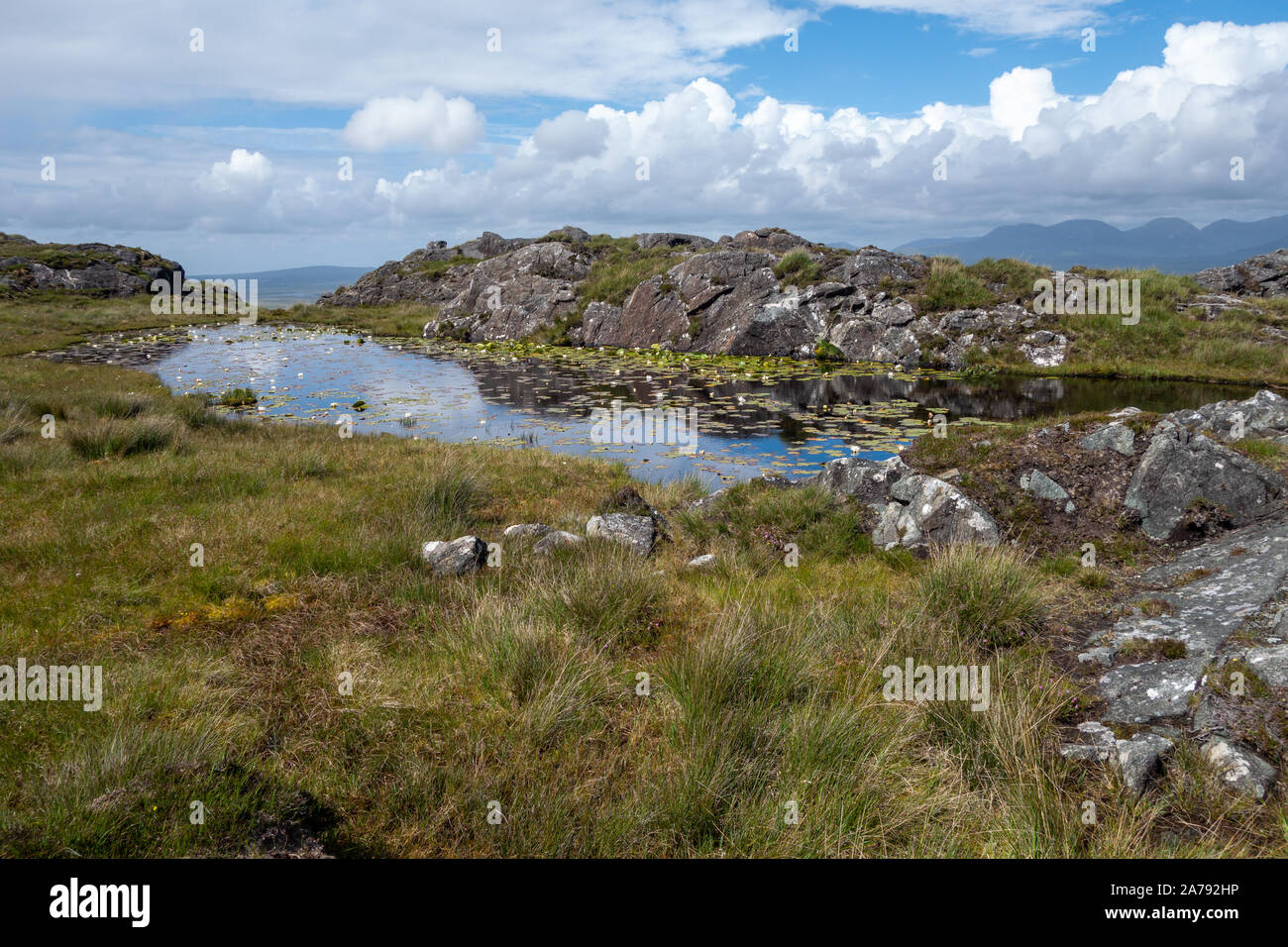 Small Mountain Lake with water lillies at Connemara, County Galway Ireland Stock Photo