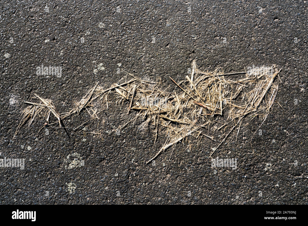 straw, old asphalt pavement Stock Photo
