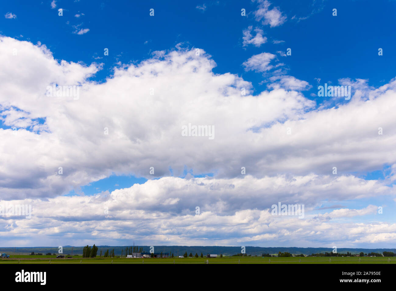 Vivid blue sky filled with fluffy white clouds Stock Photo