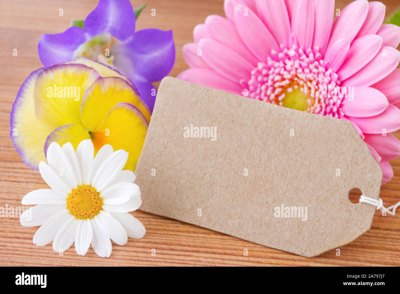 Flowers and label with copy space Stock Photo