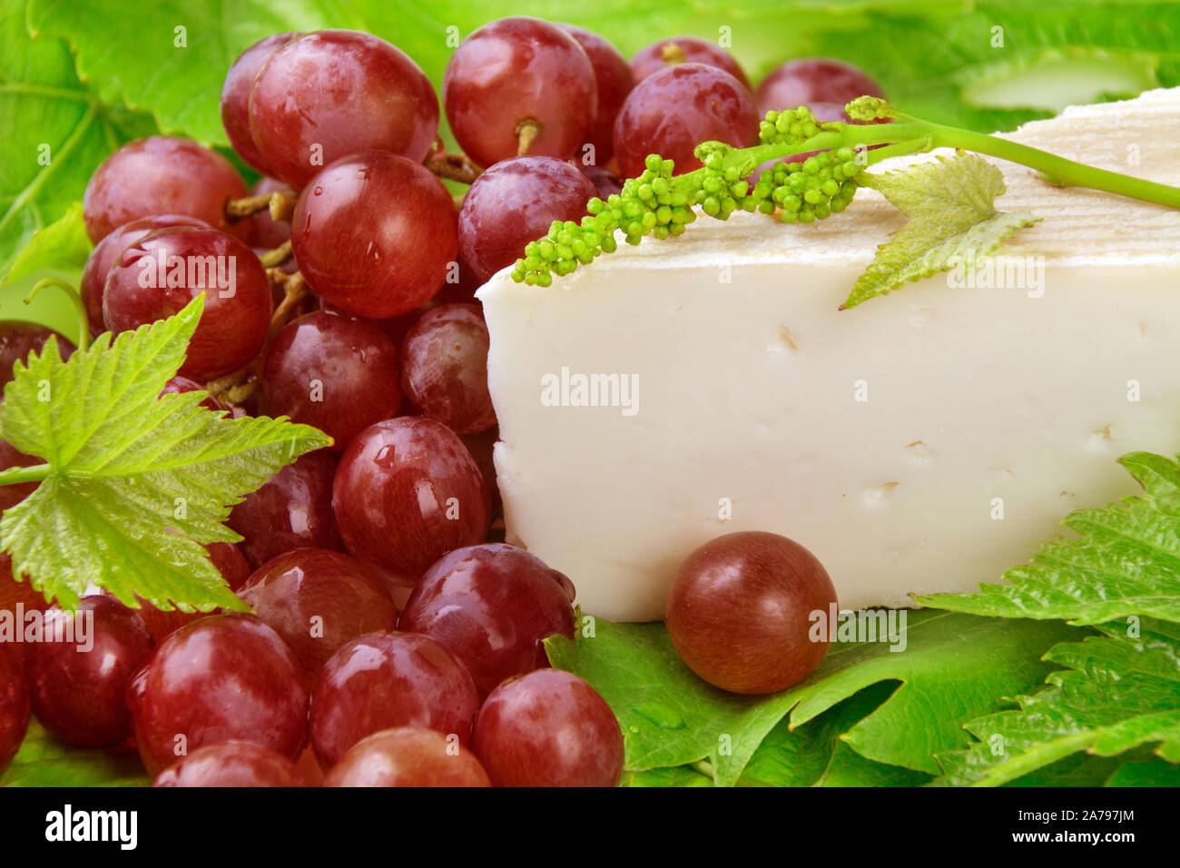 Grapes and cheese Stock Photo Alamy