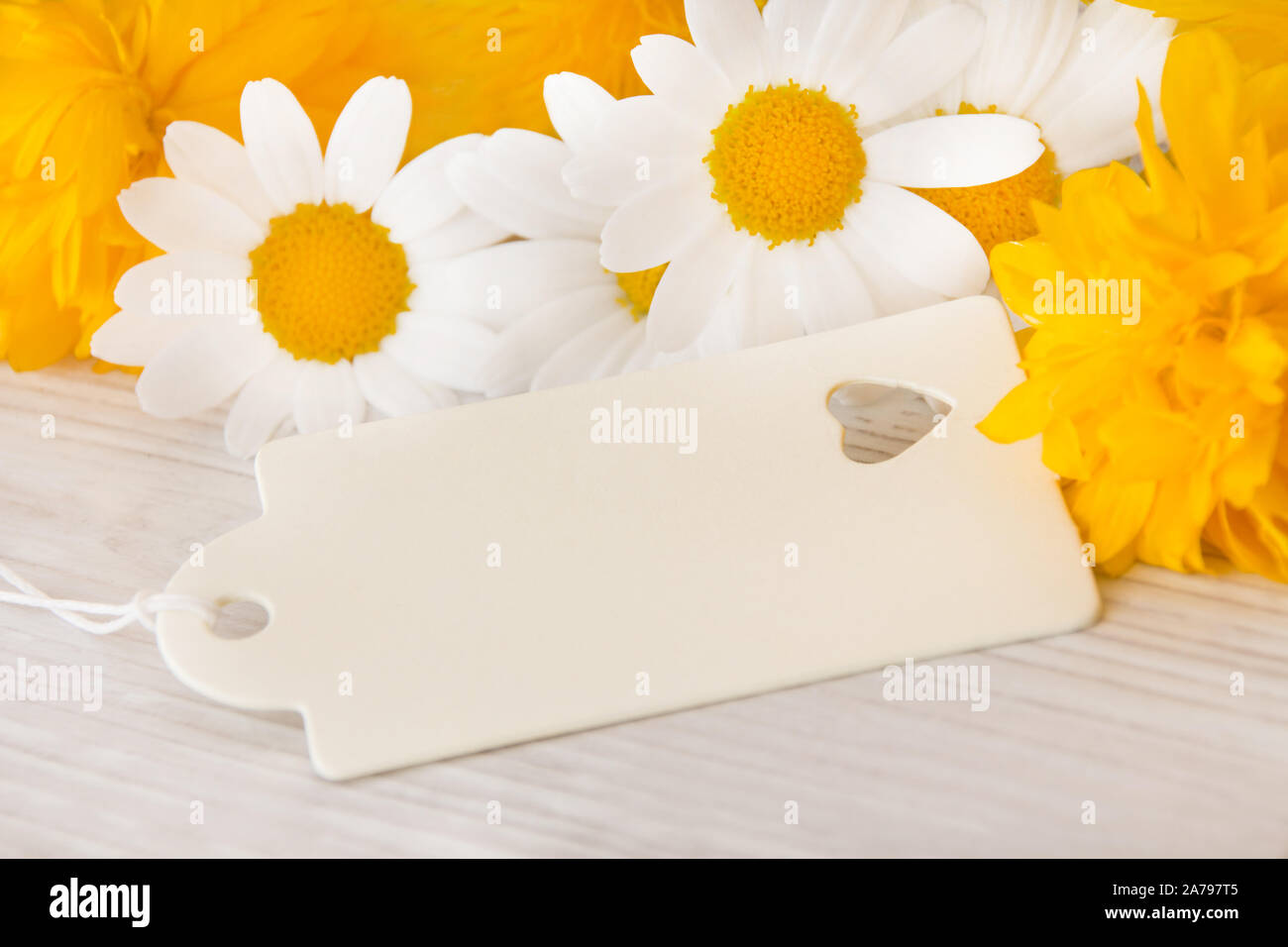 Flowers and label with copy space Stock Photo