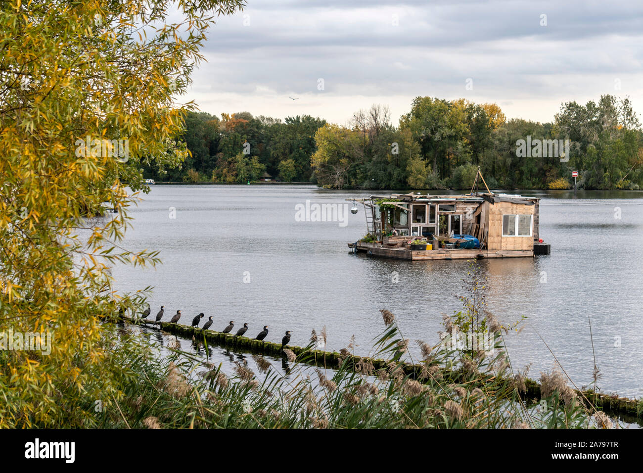 lake Rummelsbucht, cormorants resting, house boat, autumn, Berlin Stock