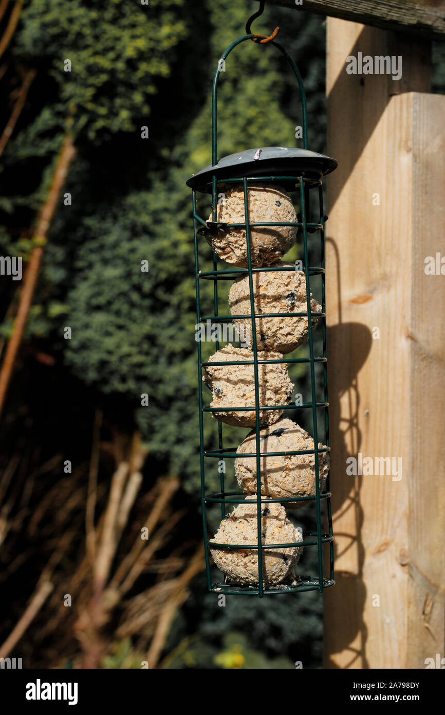 Woman S Holding Bird Seed Feeder Garden Wild Bird Feeder Stock