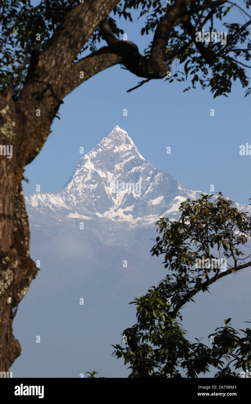 Machupuchare (Fishtail mountain) Annapurna range, Himalayas, Nepal Stock Photo