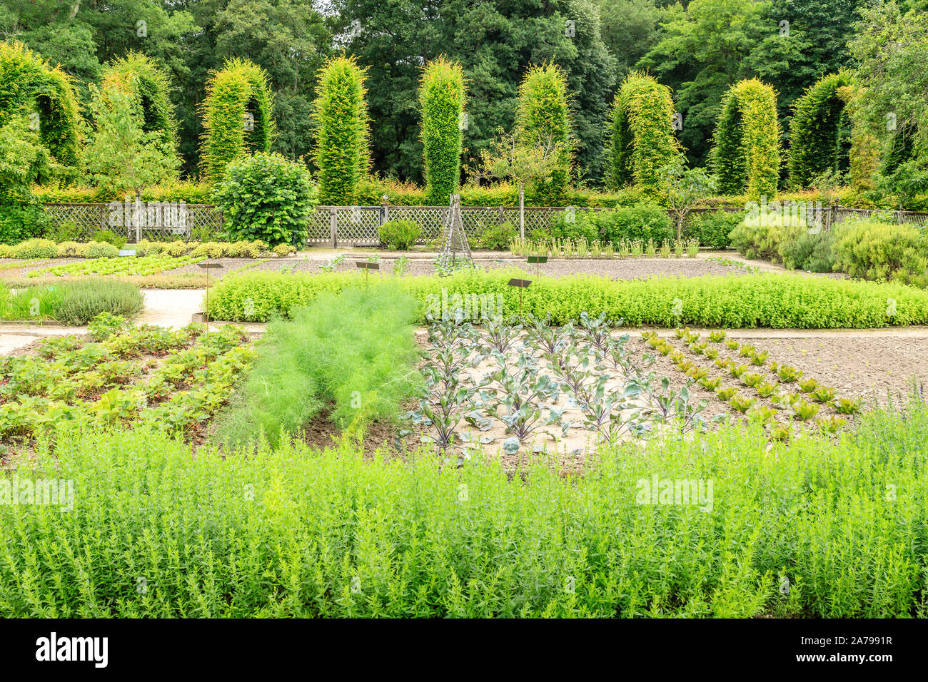France, Loiret, Chilleurs aux Bois, Chateau de Chamerolles Park and Gardens, the Jardin Renaissance, vegetable garden square // France, Loiret (45), C Stock Photo