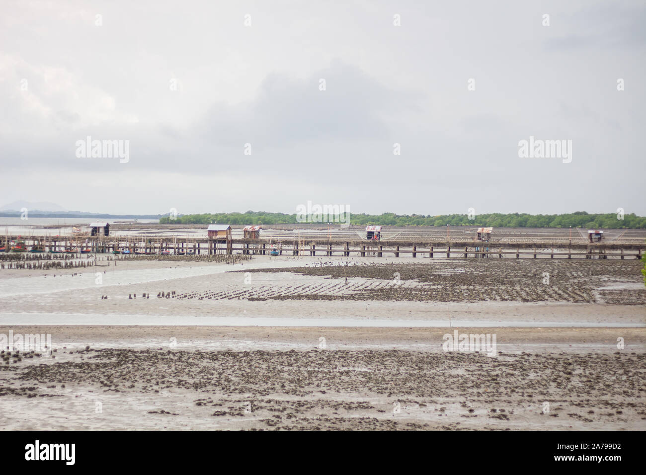 The oyster farm in the sea, Reduced sea range. Raised by bamboo poles and concrete pillars at Thailand. Stock Photo