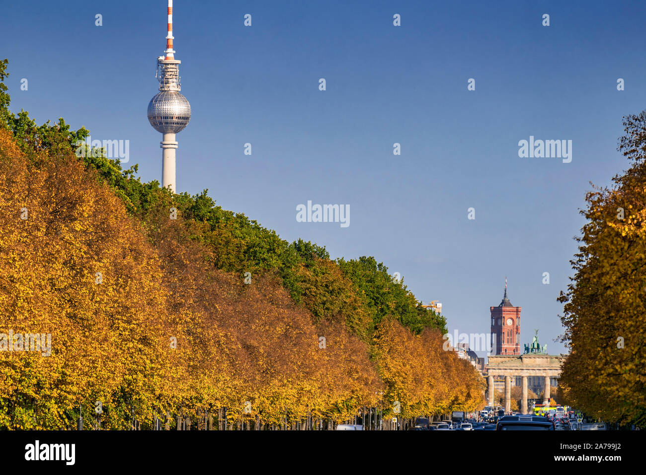 street of 17. june in autumn, Tiergarten, background Brandenburg gate, red townhall, |  Strasse des 17. Juni, herbstlicher Tiergarten, Alex, Fernsehtu Stock Photo