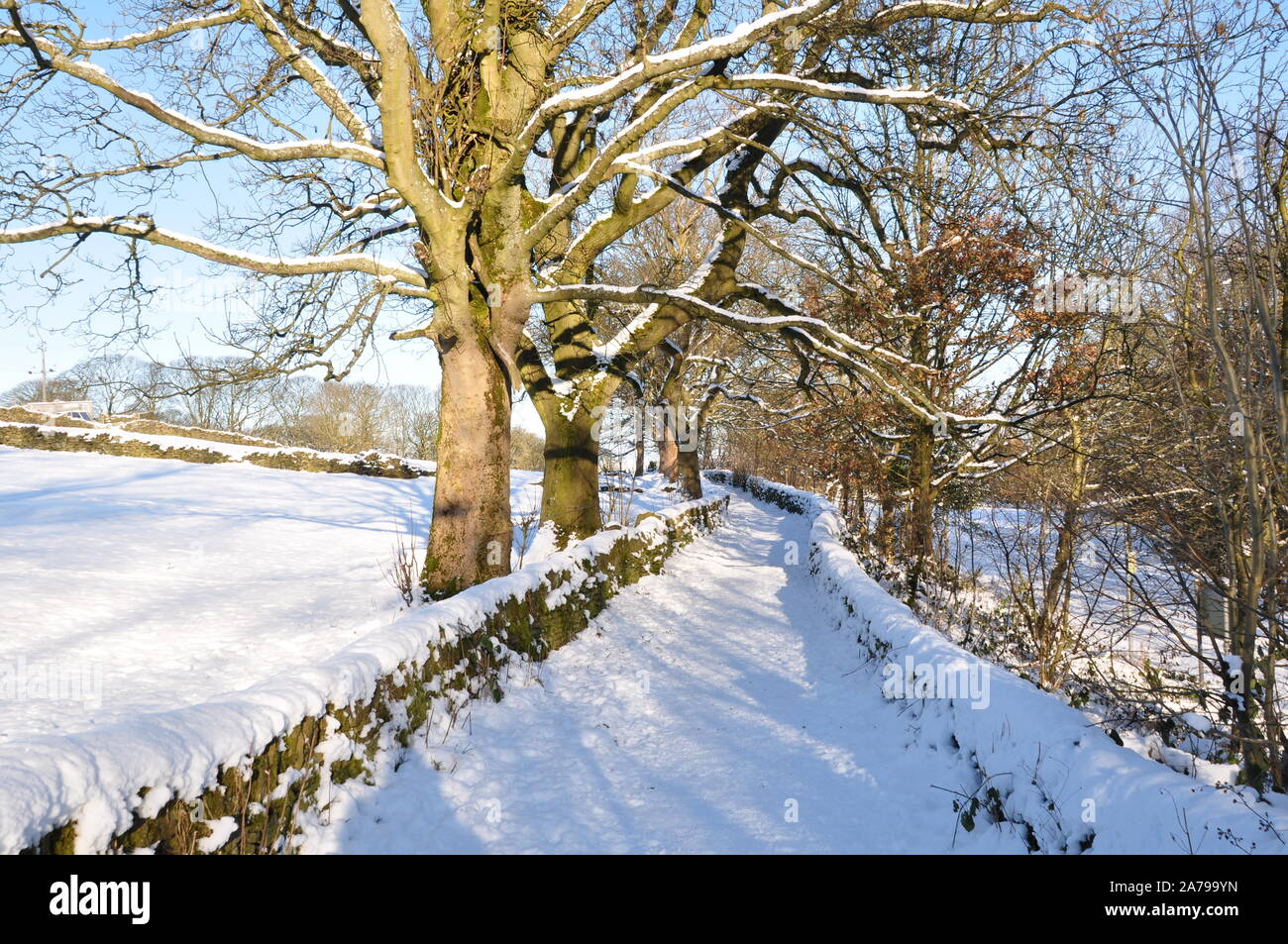 Winter snow on Haworth moor, Bronte country, Yorkshire Stock Photo - Alamy
