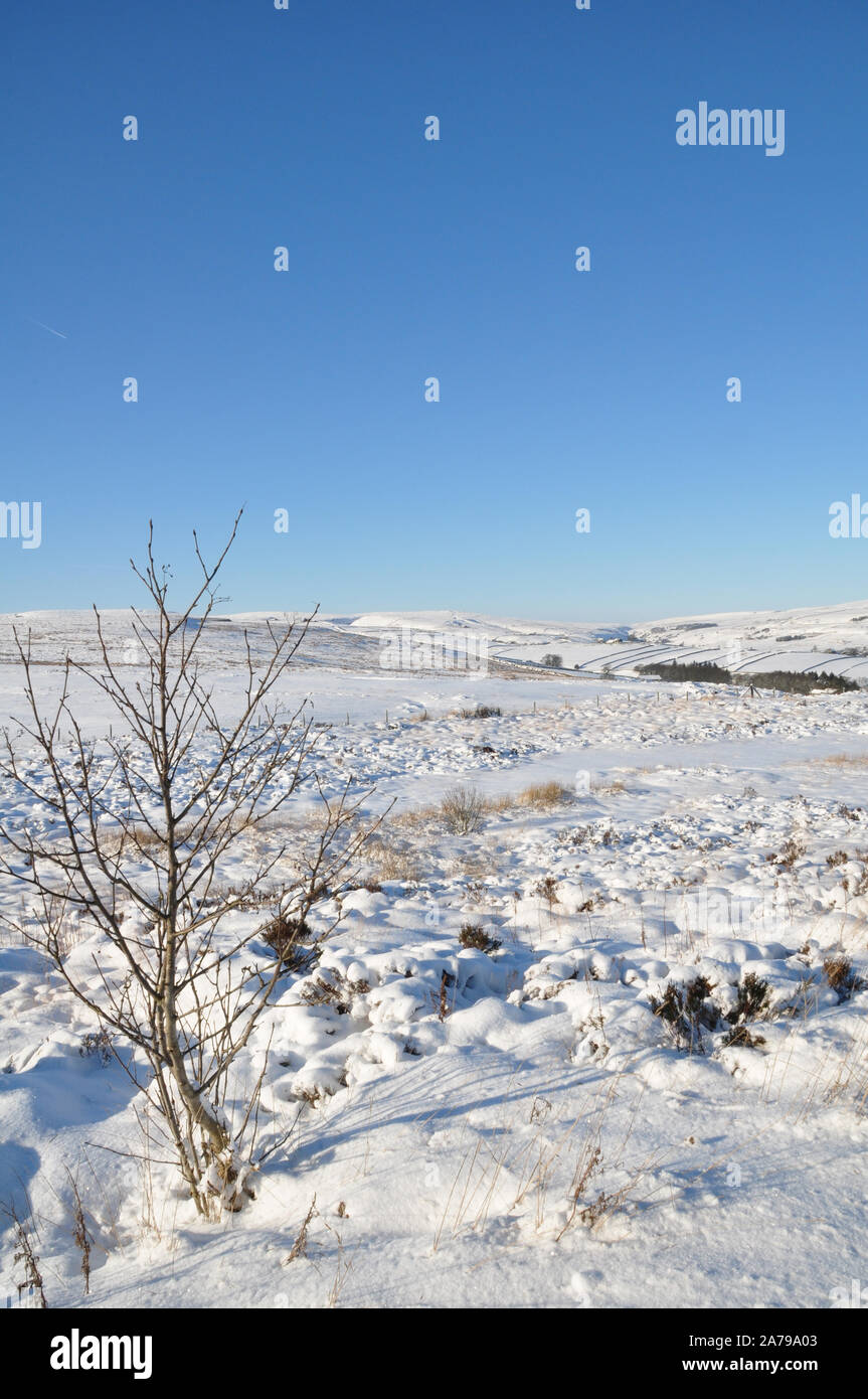 Winter snow on Haworth moor, Bronte country, Yorkshire Stock Photo - Alamy