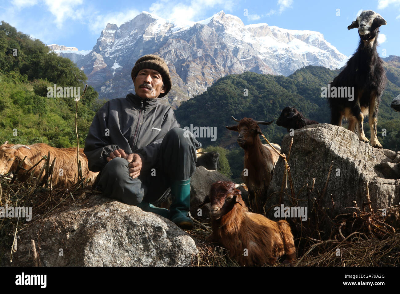 Portrait of a Nepalese goat herder, Annapurna region, Nepal Stock Photo